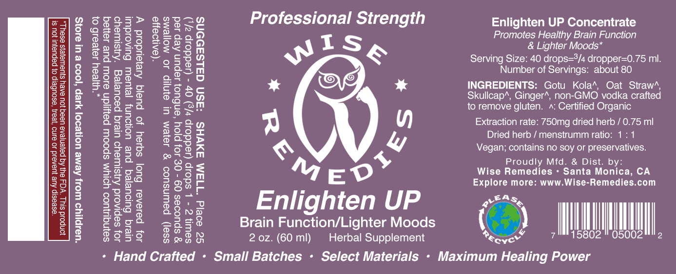 Enlighten UP! Drops (Herbal Brain Chemistry/Function Support) - Image 2