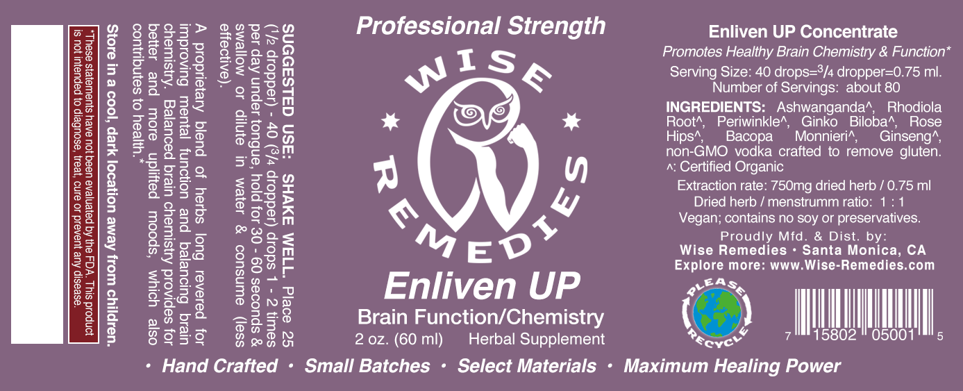 Enliven UP! Drops (Herbal Brain Chemistry/Function Support) - Image 2