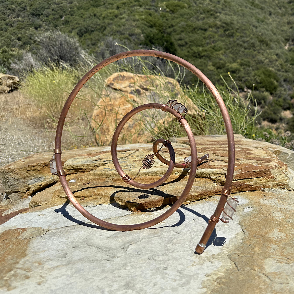 Medium Bio-Vortex - Image 5