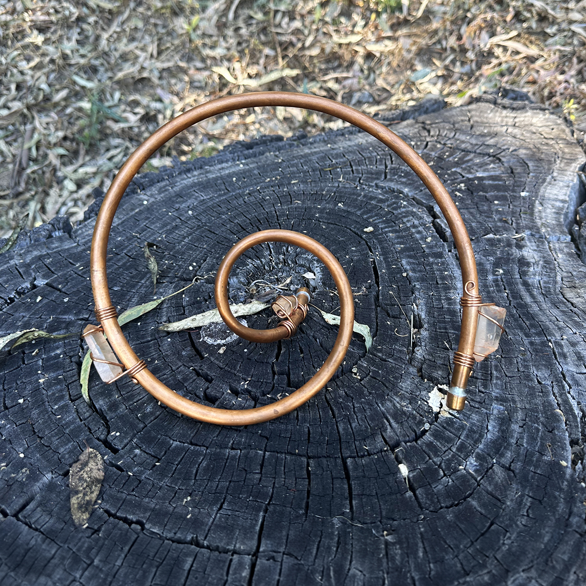Specialty Bio-Vortex - Image 13