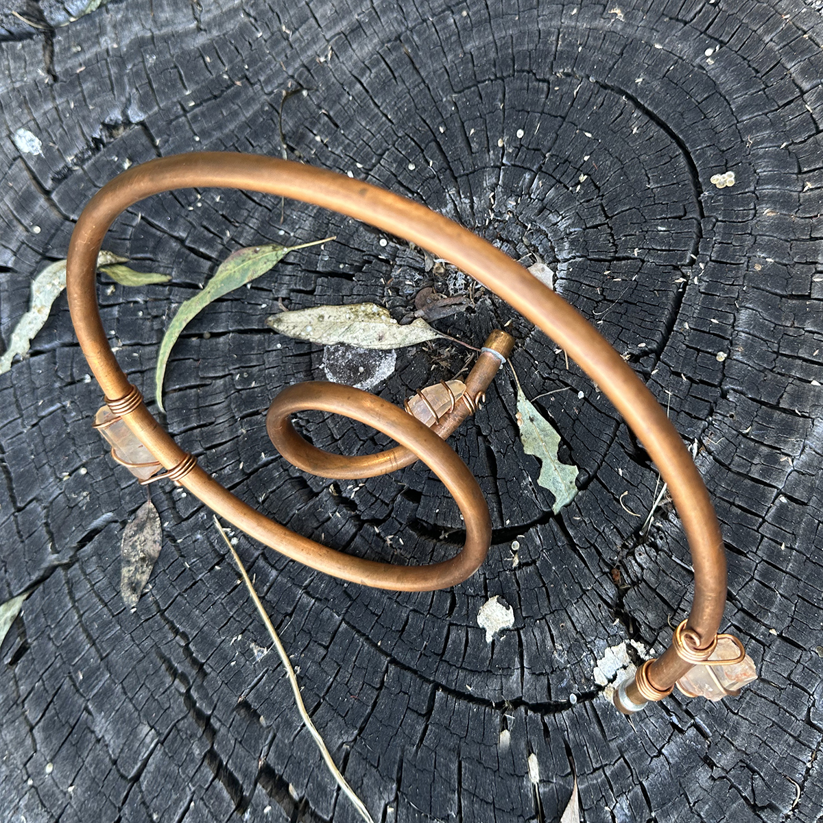 Specialty Bio-Vortex - Image 11